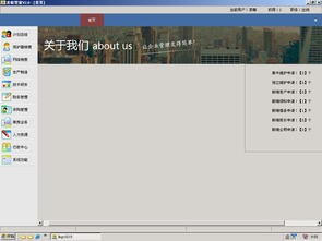 老板管家erp定制軟件介紹