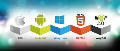 運(yùn)營(yíng)軟件 app定制開(kāi)發(fā)